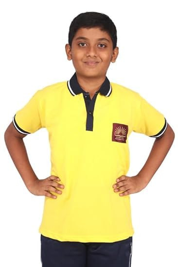 D V Enterprise Kendriya Vidyalaya School T-Shirt, Cotton Polo Collar, Unisex, Half Sleeve, Regular Fit, Uniform